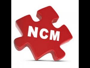 Leia mais sobre o artigo NCM GENÉRICO OU UNIVERSAL – 00000000